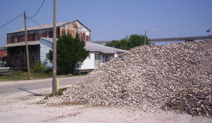 0619oystershells.jpg